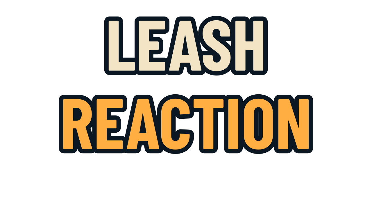 LEASH REACTION